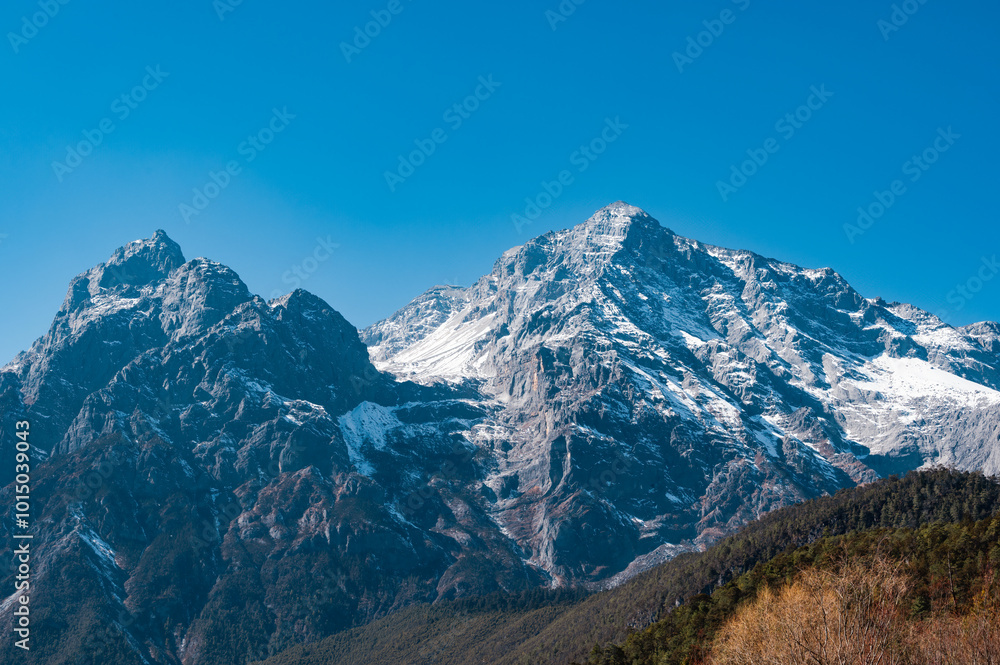 The woods under the snow-capped mountains The woods under the snow-capped mountains