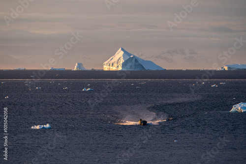 boat speeds through icy water with icebergs