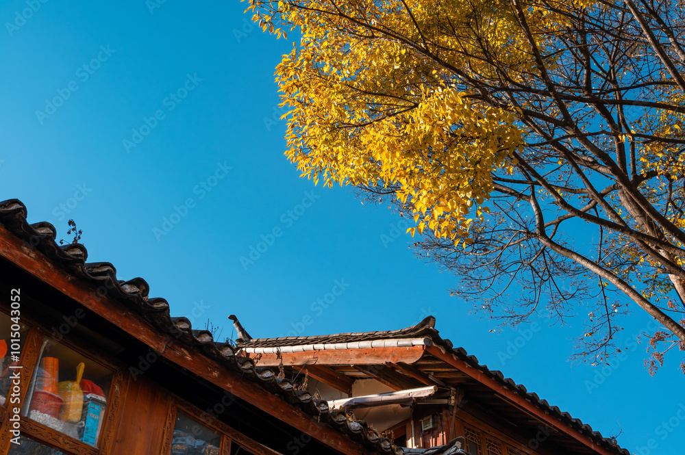 The peaceful eaves of the wooden house and the trees covered with yellow leaves. The peaceful eaves of the wooden house and the trees covered with yellow leaves.