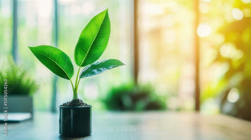 A modern workspace symbolizing sustainable business growth, emphasizing profitability intertwined with environmental and social ethics A modern workspace symbolizing sustainable business growth, emphasizing profitability intertwined with environmental and social ethics