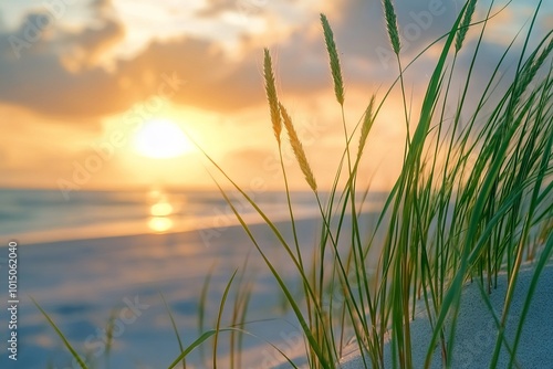 Golden Hour Beach Grass by the Sea. AI generated illustration