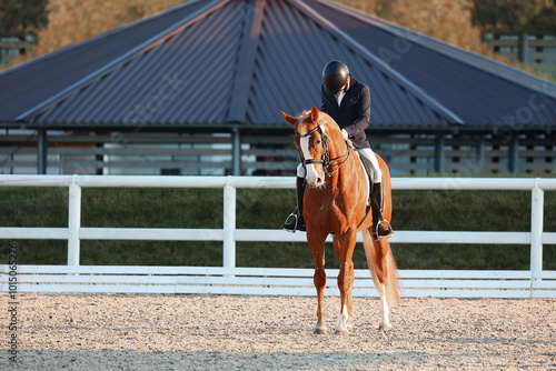 Salute to the dressage judges. The red horse starts riding in the individual competition. Participant of the dressage competition in the Juniors competition