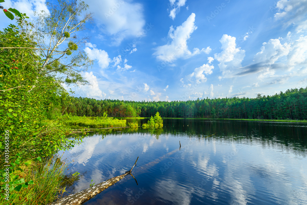 Fototapeta premium beautiful calm lake in the forest