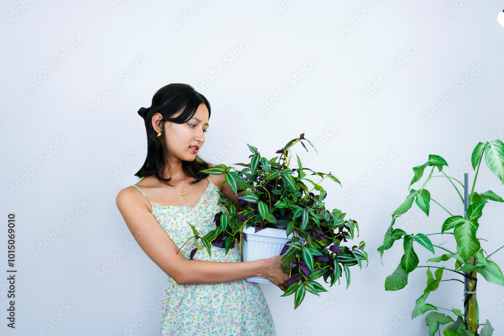 Young Asian Female Gardener Florist With Indoor Garden Plants Young Asian Female Gardener Florist With Indoor Garden Plants