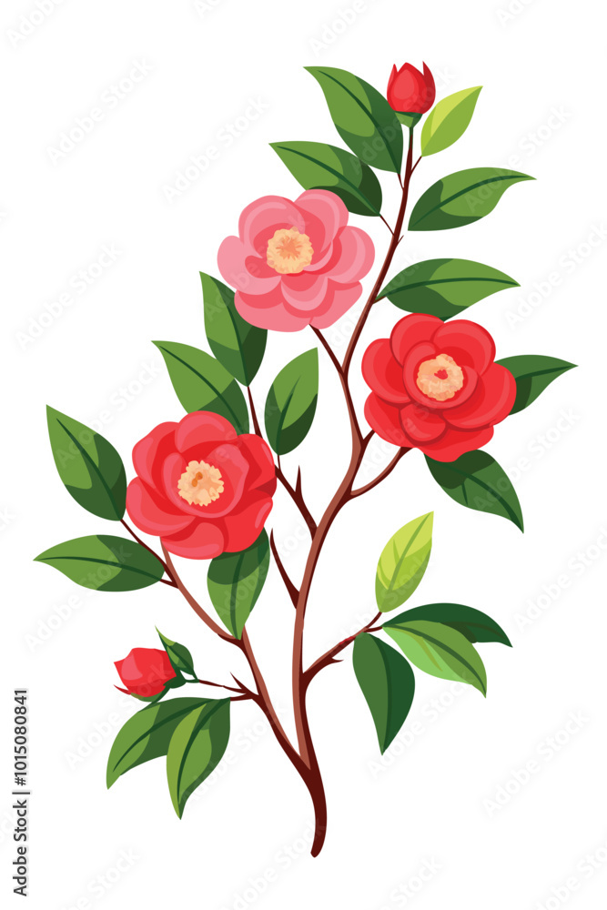 Camellia Branch with Flowers Vector Illustration on White Background Camellia Branch with Flowers Vector Illustration on White Background