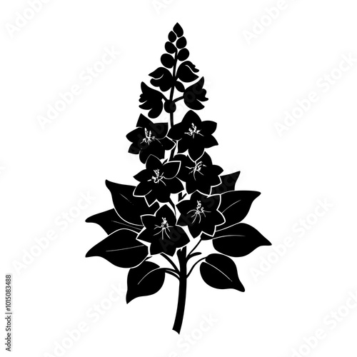 Delphinium vector silhouette