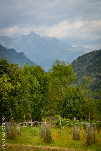 summer landscape of high mountains. A cultivated valley, trees and meadows, and mountain peaks.