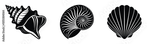 Group of snail shell vector silhouette