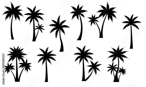 palm tree silhouettes