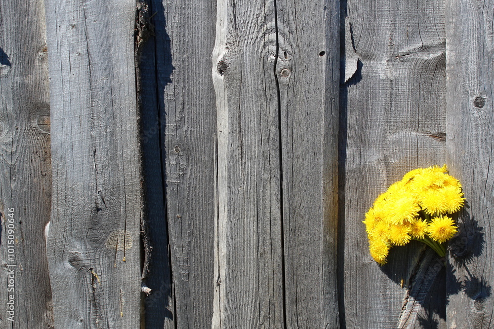 There is a bouquet of yellow dandelions on a wooden background. There is a bouquet of yellow dandelions on a wooden background.