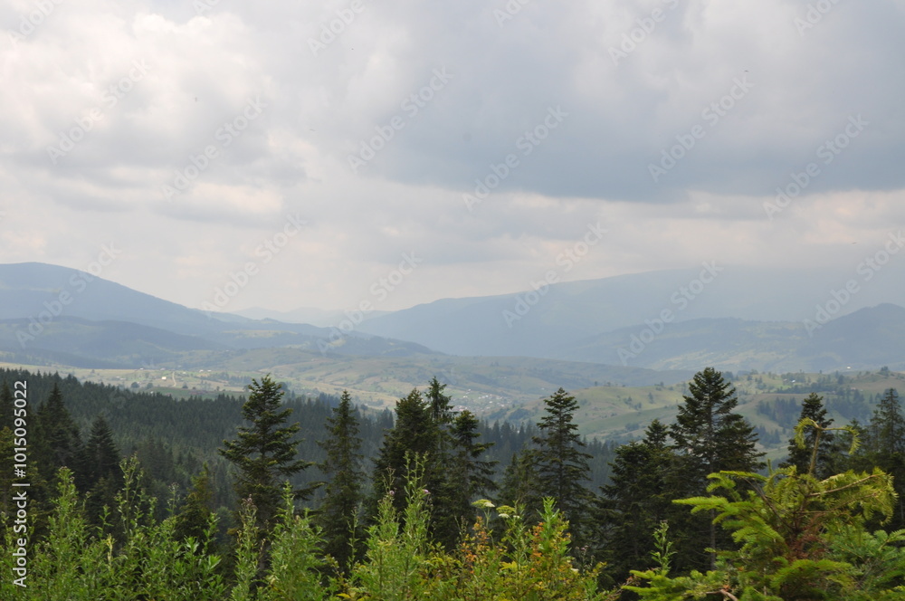 Ukrainian Carpathians landscape with mountains trees and clouds Ukrainian Carpathians landscape with mountains trees and clouds