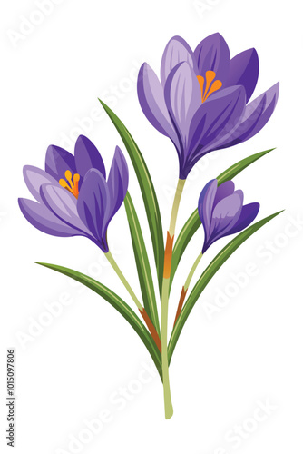 Crocus Branch With Flowers Vector Illustration On White Background Elegant Botanical Design