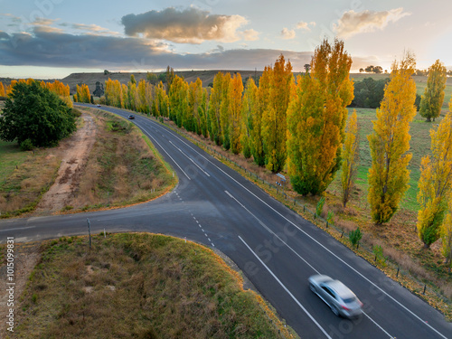 Aerial view of sunset over a row of golden poplar trees along a roadside with a car speeding past photo