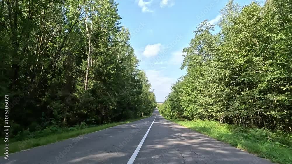 Road view on a summer day. Highways and cars, roadside and white road line markings. Road view on a summer day. Highways and cars, roadside and white road line markings.