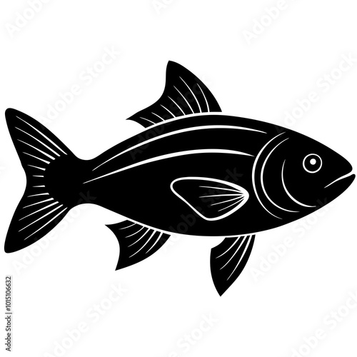 fish isolated on white background 