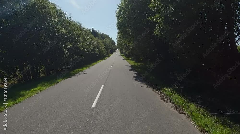 Road view on a summer day. Highways and cars, roadside and white road line markings. Road view on a summer day. Highways and cars, roadside and white road line markings.