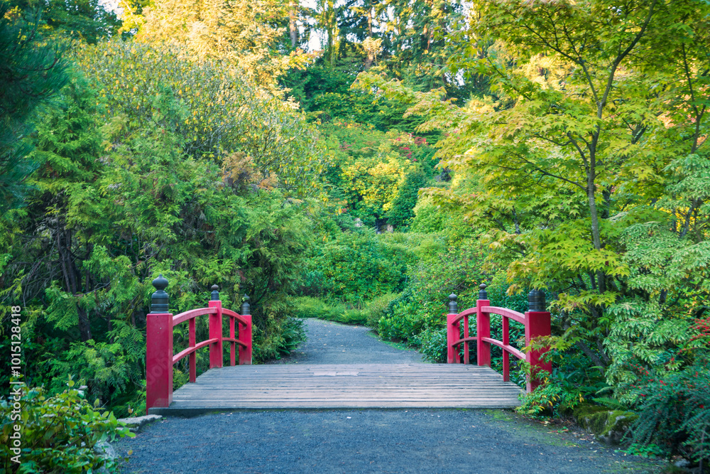Obraz premium path in the garden
