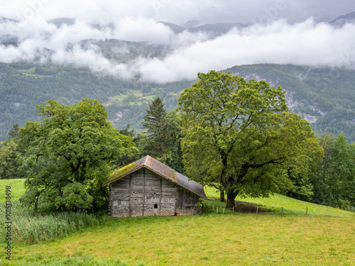 Wooden hamlet near Reichenbach falls in a rainy day photo