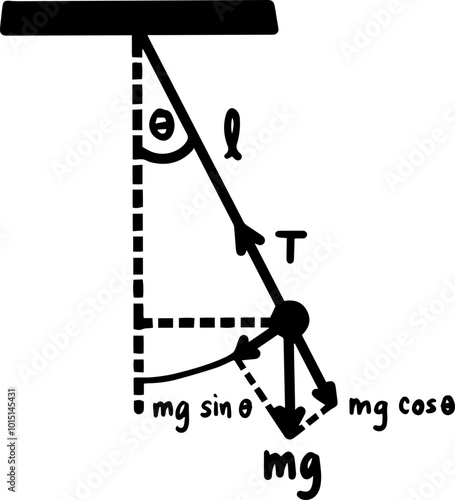 Physics simple harmonic motion