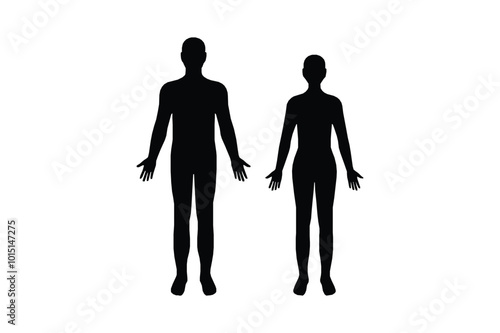 Silhouettes of Male and Female Human Bodies, Vector Illustration on White Background