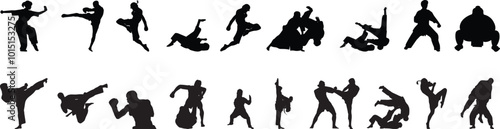 Martial arts silhouette vector format.