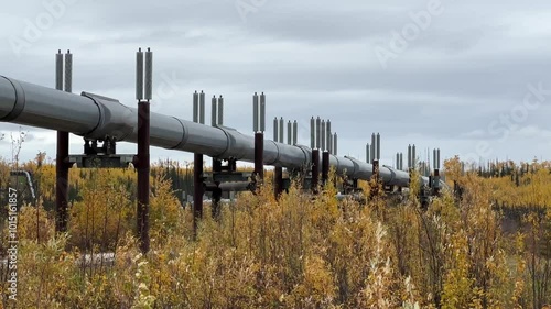 Transalaska Pipeline