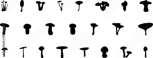 Mushroom silhouette icon vector image. Big set of mushroom - Edible and non-edible mushrooms. Vector illustration