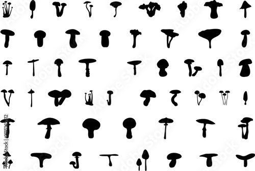 Mushroom silhouette icon vector image. Big set of mushroom - Edible and non-edible mushrooms. Vector illustration