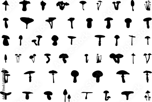 Mushroom silhouette icon vector image. Big set of mushroom - Edible and non-edible mushrooms. Vector illustration