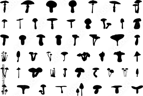 Mushroom silhouette icon vector image. Big set of mushroom - Edible and non-edible mushrooms. Vector illustration