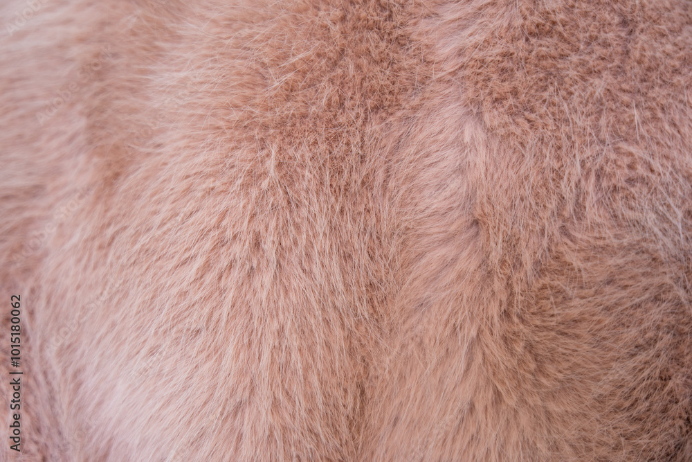 Soft texture of a faux fur coat in warm peach fuzz tones Soft texture of a faux fur coat in warm peach fuzz tones
