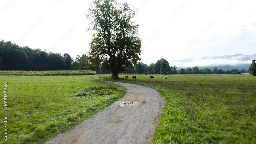 A winding dirt path with puddles leads through lush green fields under a bright sky. A large tree stands beside the road, while a herd of small ponies grazes peacefully in the background. A winding dirt path with puddles leads through lush green fields under a bright sky. A large tree stands beside the road, while a herd of small ponies grazes peacefully in the background.