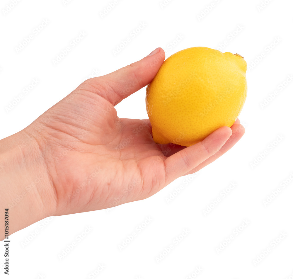cytryna w dłoni, PNG na przezroczystym tle, izolowany, wycięte z tła, cytrus cytryna w dłoni, PNG na przezroczystym tle, izolowany, wycięte z tła, cytrus