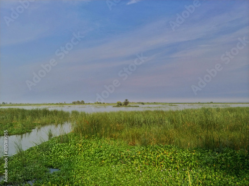 The Indus River. 
Pakistan's lifeline, harboring the ancient Indus Valley Civilization and nurturing diverse wildlife, flora, and vital migratory bird habitats along the Indus Flyway Zone. photo