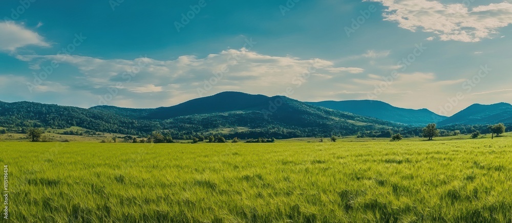 Serene Green Field and Distant Mountains Serene Green Field and Distant Mountains