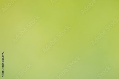 Abstract blurred green nature background.