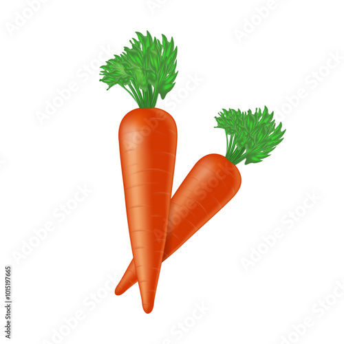 Carrots in a realistic style on a pure white background