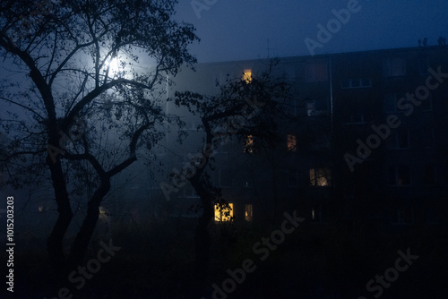 Spooky view of block of flats, tree in mist
