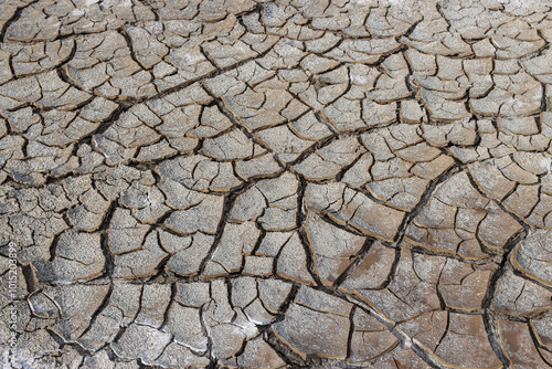 Earth’s Cracked Canvas: The Silent Symphony of Drought