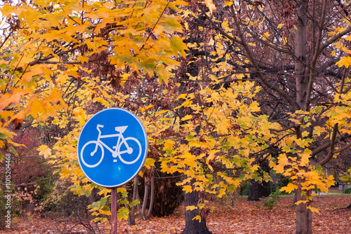 Bicycle sign on background of autumn park