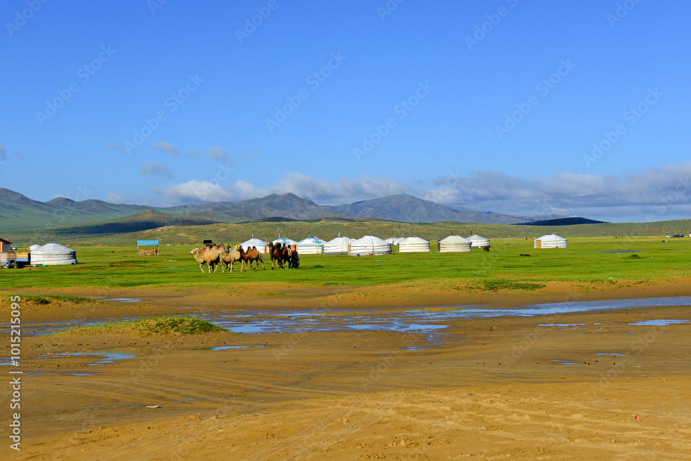A yurt or ger is a portable, round tent covered and insulated with skins or felt and traditionally used as a dwelling, Mongolia