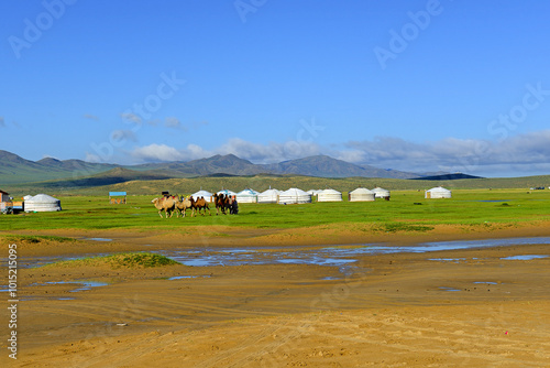Obraz na płótnie A yurt or ger is a portable, round tent covered and insulated with skins or felt and traditionally used as a dwelling, Mongolia w salonie