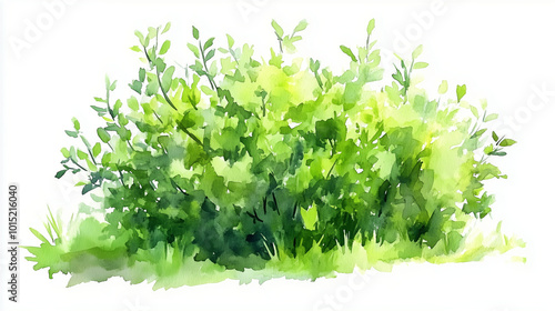 Watercolor painting of a lush green bush with soft edges.