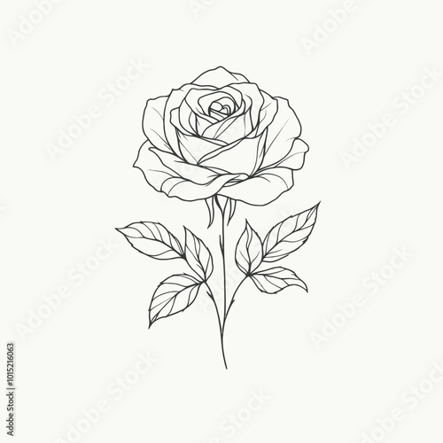 Elegant Line Art Rose Illustration