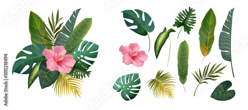 Jungle leaf. Exotic banana palm, green monstera or old fern botanical composition, label design. Elegant summer philodendron, hibiscus flower. Hawaii isolated realistic vector background