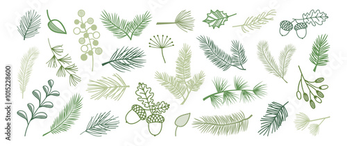 Christmas pine and fir, winter leaf spruce and branch tree, evergreen plant, berry, acorn, green cedar twig icon, Xmas wood, holiday decoration line art. New Year hand drawn vector illustration