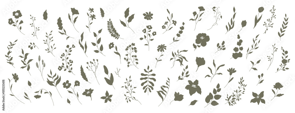 Set of Silhouettes of Flowers, Branches and Leaves. Hand drawn elegant vector botanical elements Set of Silhouettes of Flowers, Branches and Leaves. Hand drawn elegant vector botanical elements