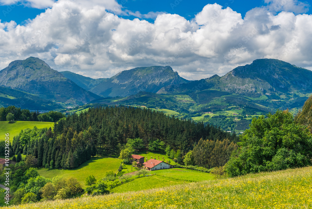 Obraz premium Ya es primavera en el valle