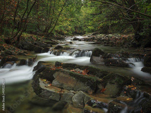Fototapeta Naklejka Na Ścianę i Meble -  Dolina Zimnika - Beskid Śląski 
Górski potok z kaskadami