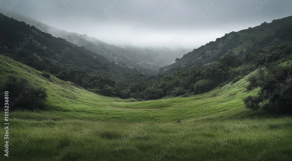 Obraz premium A serene valley with lush green grass and gentle hills shrouded in mist captures the peacefulness of early morning hours